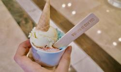 Featured image of post 好久不见